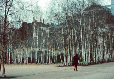 042332.jpg