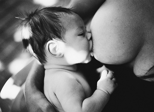 CREATOR: gd-jpeg v1.0 (using IJG JPEG v62), quality = 100