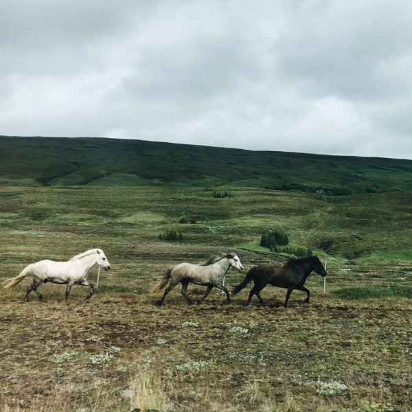 CREATOR: gd-jpeg v1.0 (using IJG JPEG v62), quality = 100