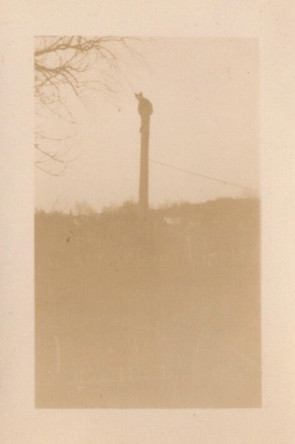 Processed By eBay with ImageMagick, z1.1.0. ||B2