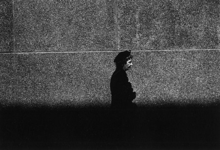 CREATOR: gd-jpeg v1.0 (using IJG JPEG v62), quality = 100