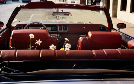 CREATOR: gd-jpeg v1.0 (using IJG JPEG v80), quality = 100