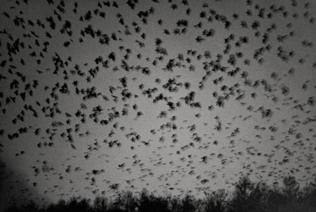 CREATOR: gd-jpeg v1.0 (using IJG JPEG v62), quality = 82