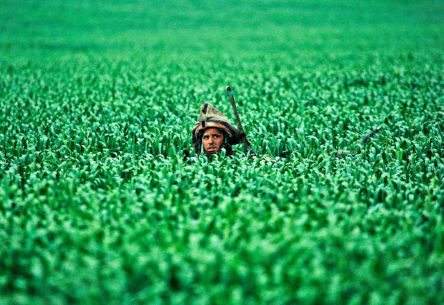 CREATOR: gd-jpeg v1.0 (using IJG JPEG v62), default quality